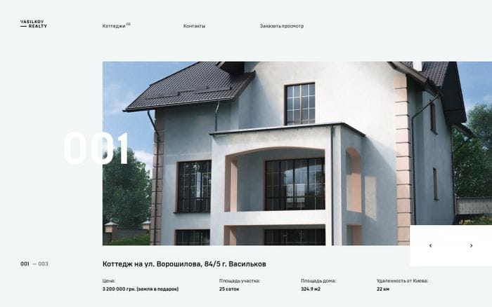 Vasilkov website preview