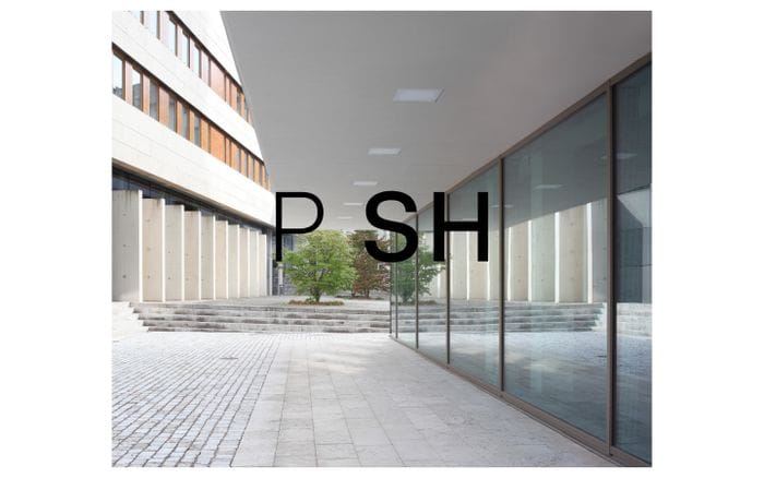 PSH website preview