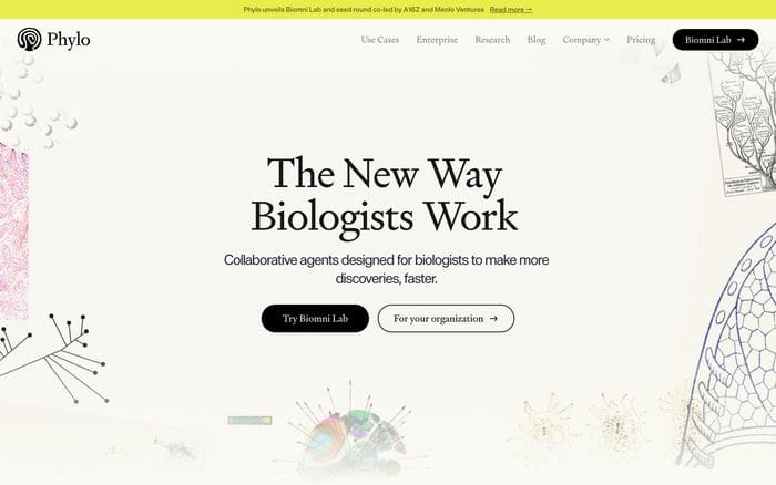 Phylo website preview