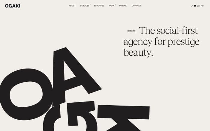 Ogaki website preview