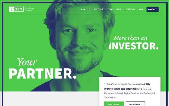 Tev website preview