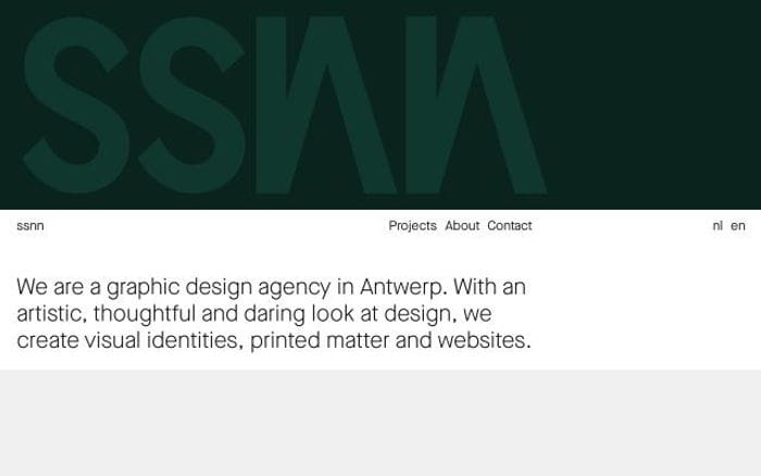 Ssnn website preview