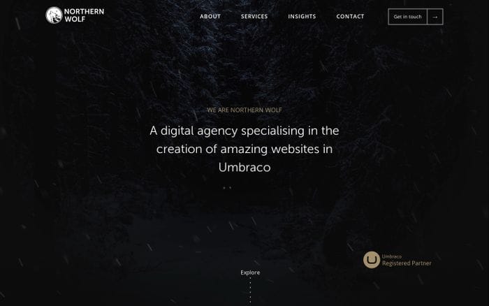 Northern Wolf website preview