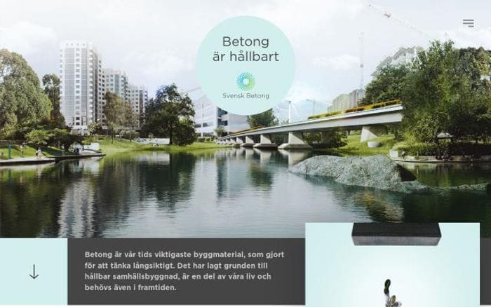Betongarhallbart website preview