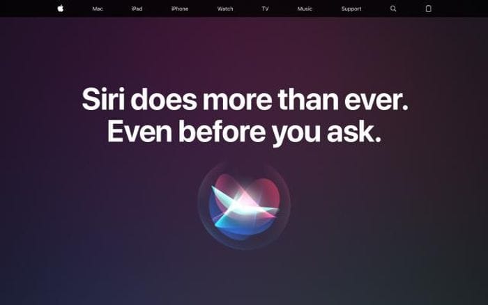 Apple website preview