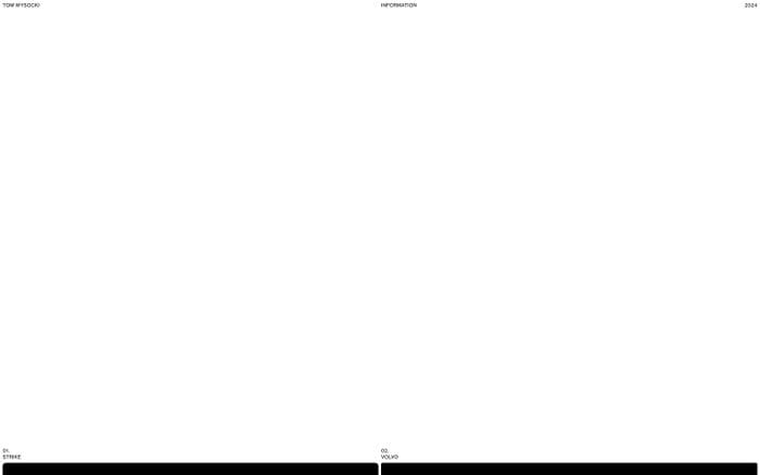 Tom Wysocki website preview