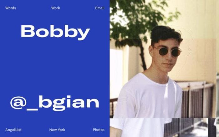 Bobby website preview
