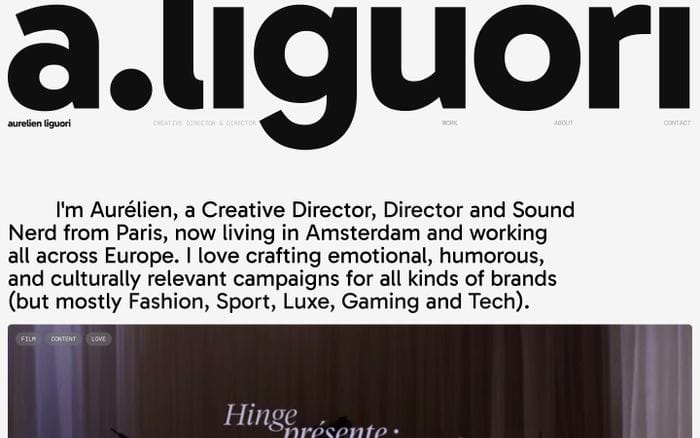 Aurelien Liguori website preview