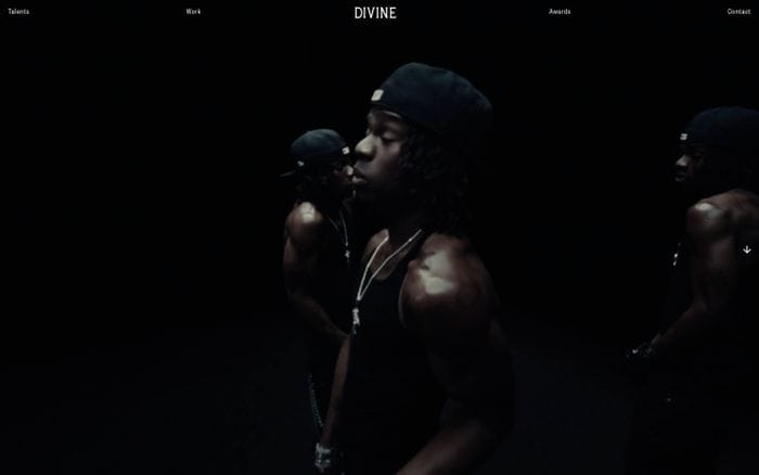 Divine website preview