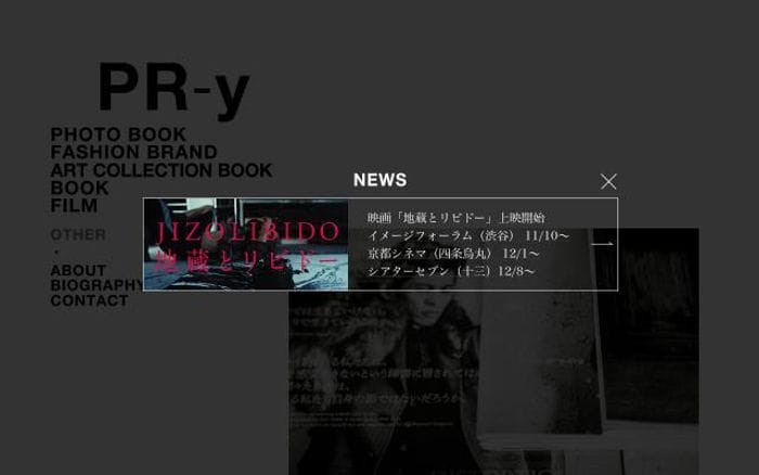 Pr-y website preview