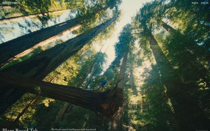 Fractal Forest website preview