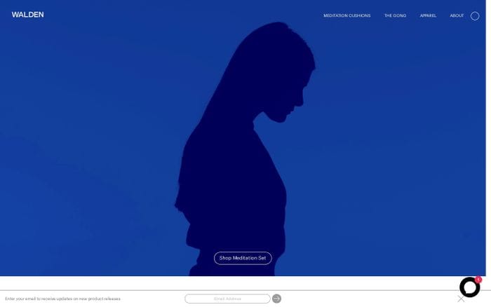 Walden website preview