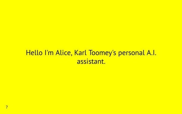 Karltoomey website preview