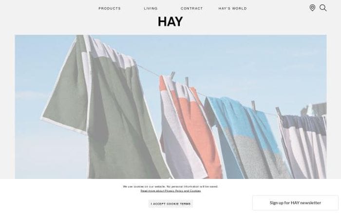 Hay website preview