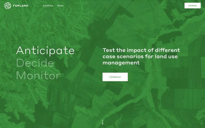 Forland website preview