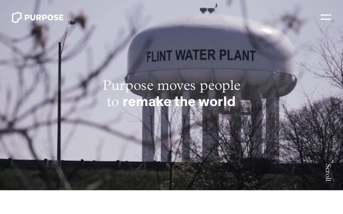 Purpose website preview