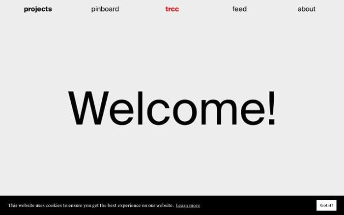 Timrodenbroeker website preview