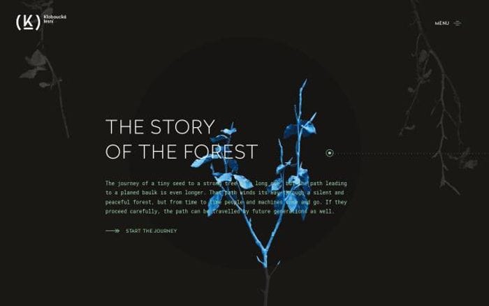 Klobouckalesni website preview