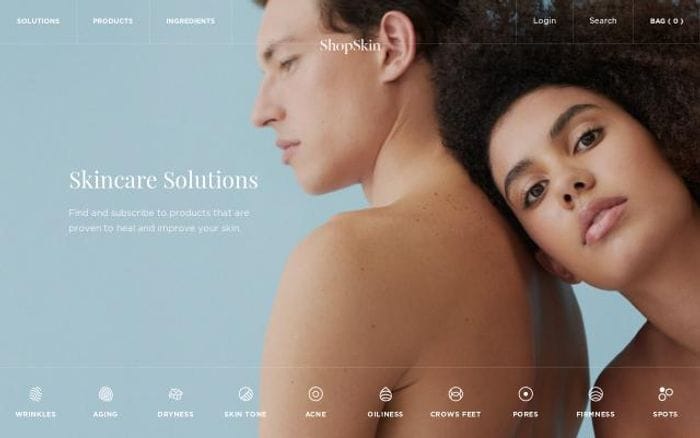 Shopskin website preview