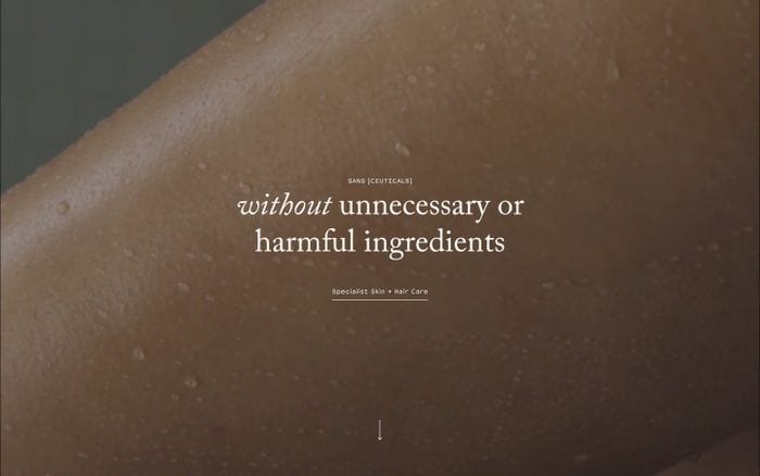 Sans [ceuticals] website preview