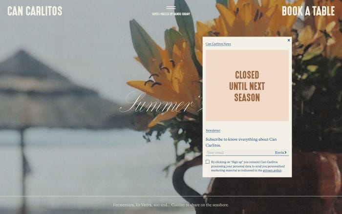 Can Carlitos website preview