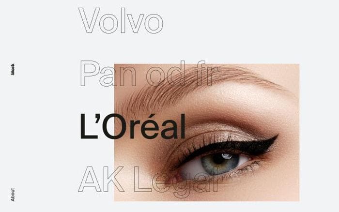 Mhro website preview