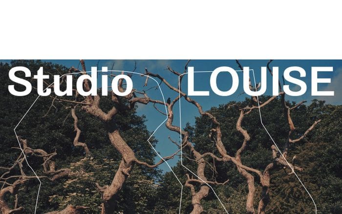 Studio Louise website preview