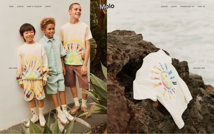 Molo website preview