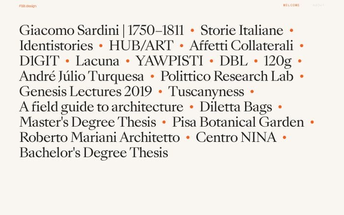 Fabio Santaniello Bruun website preview