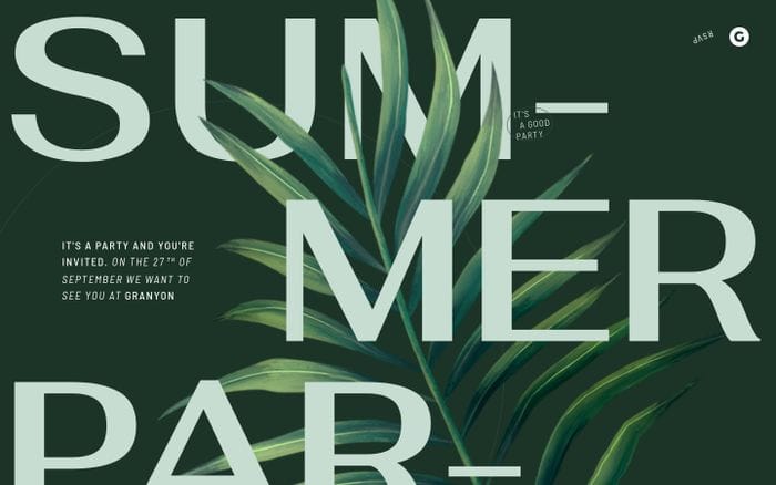 Granyon Summer Party website preview