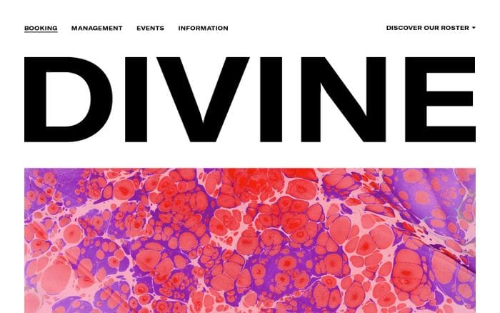 Divine website preview
