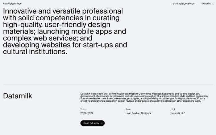 Alex Kalashnikov website preview