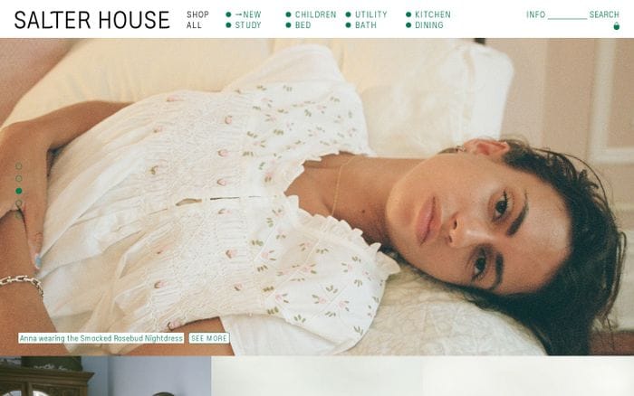 Salter House website preview