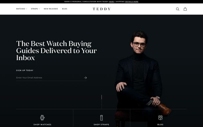 Teddy Baldassarre website preview