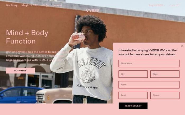Idrinkvybes website preview
