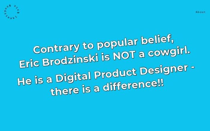 Ericbrodzinski website preview