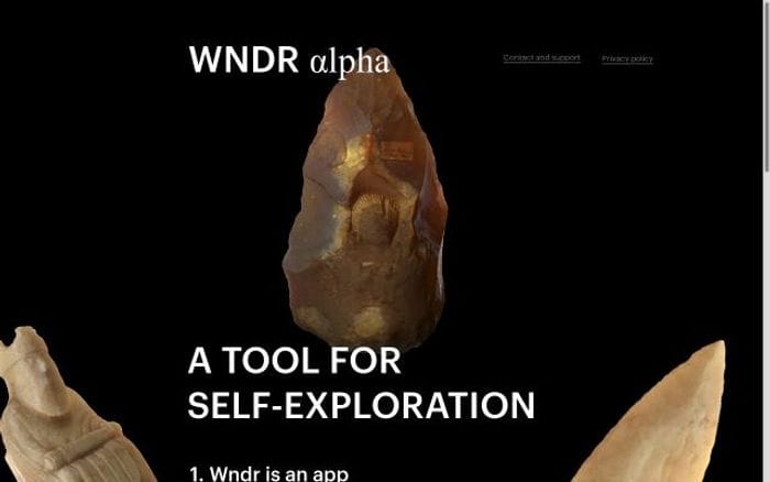 Wndr website preview