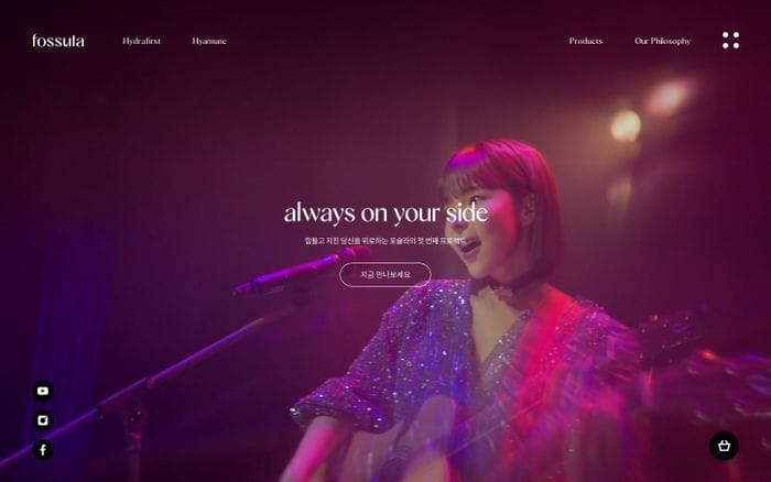 Fossula website preview