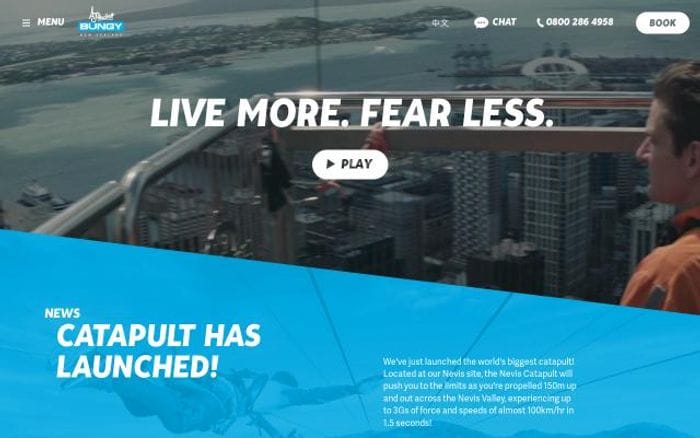 Bungy website preview