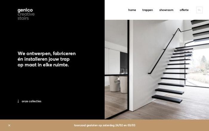 Genico website preview