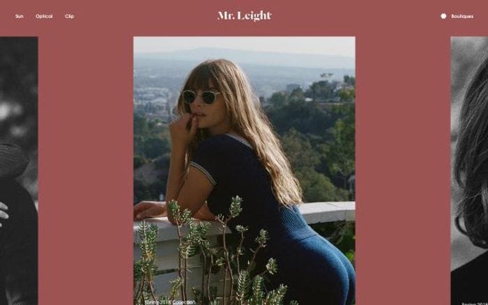 Mrleight website preview