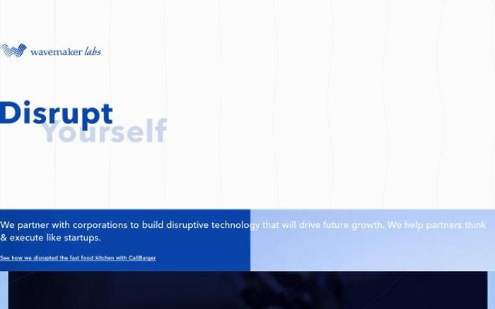 Wavemakerlabs website preview