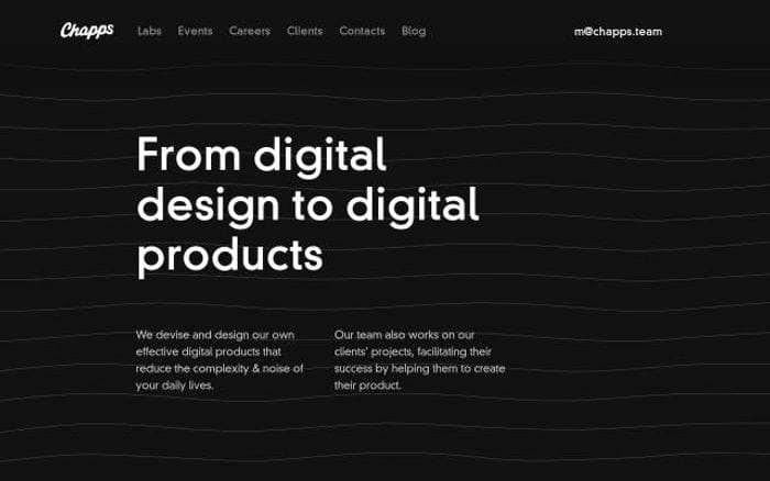 Chapps website preview