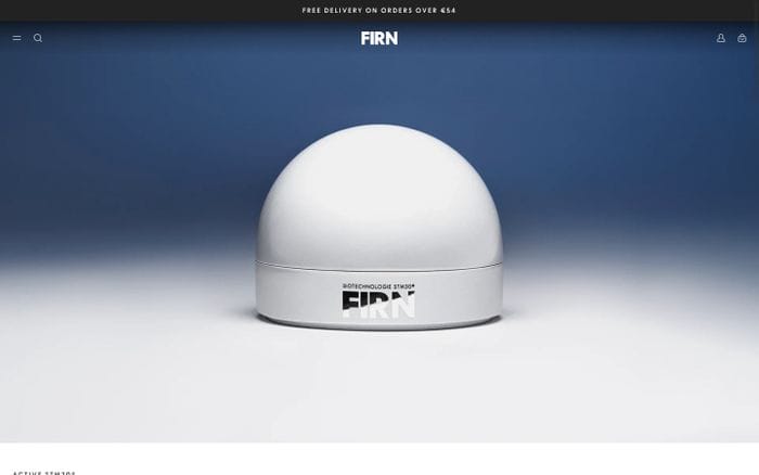 Firn website preview