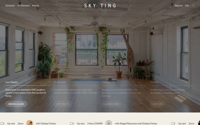 Skyting website preview