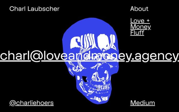 Charl Laubscher website preview