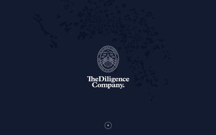 Thediligencecompany website preview