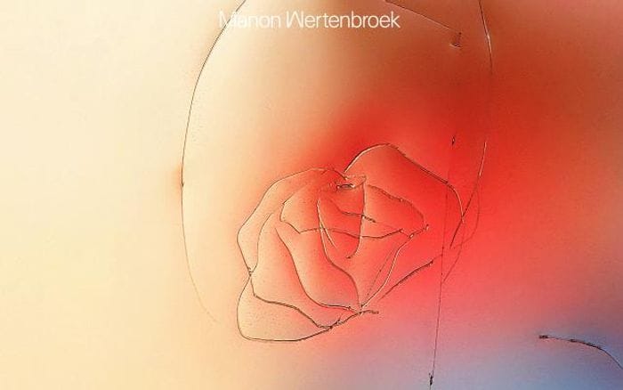 Manonwertenbroek website preview