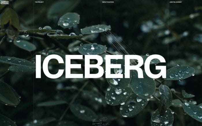 Iceberg website preview