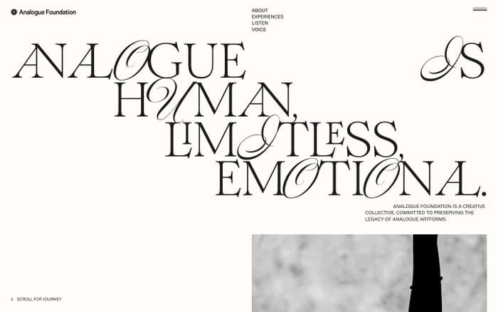 Analogue Foundation website preview